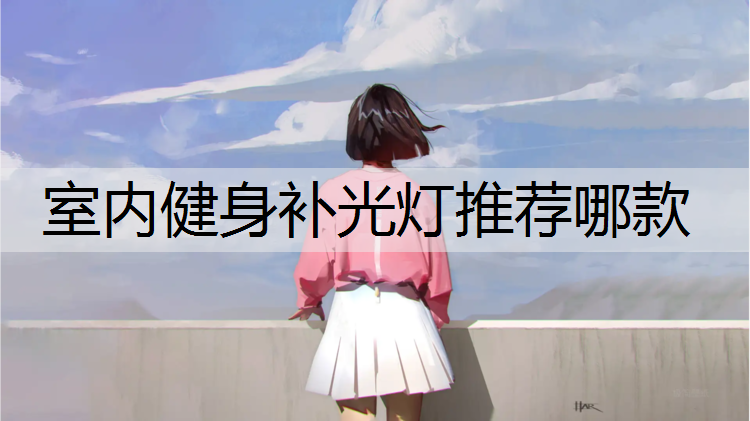 室内健身补光灯推荐哪款