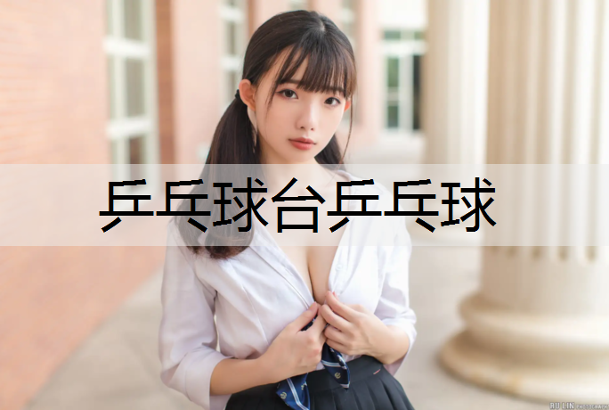 乒乓球台乒乓球