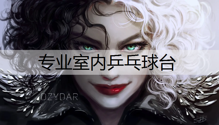 专业室内乒乓球台
