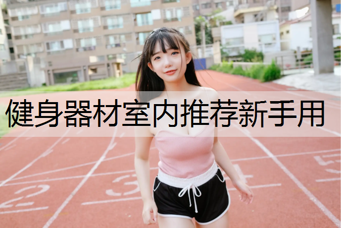 健身器材室内推荐新手用