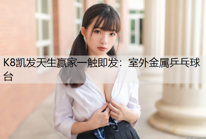 室外金属乒乓球台